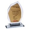 מגן הוקרה יוקרתי מזכוכית